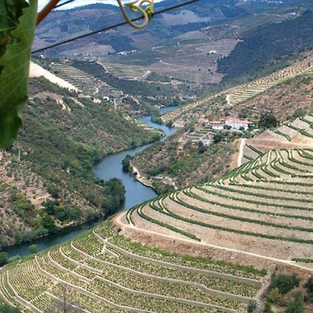 Вилла Douro House Loft Табуасу Экстерьер фото