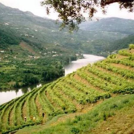 Вилла Douro House Loft Табуасу Экстерьер фото