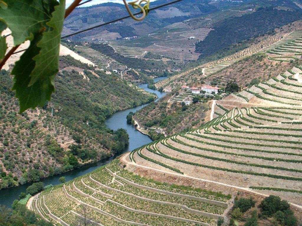 Вилла Douro House Loft Табуасу Экстерьер фото